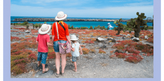 mother and two children standing outside, looking at a calm blue ocean. "Halfway in: The 1,000 Hour Outside Challenge" in text and MMC logo