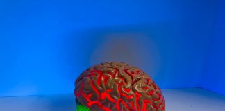 model of a brain glowing red