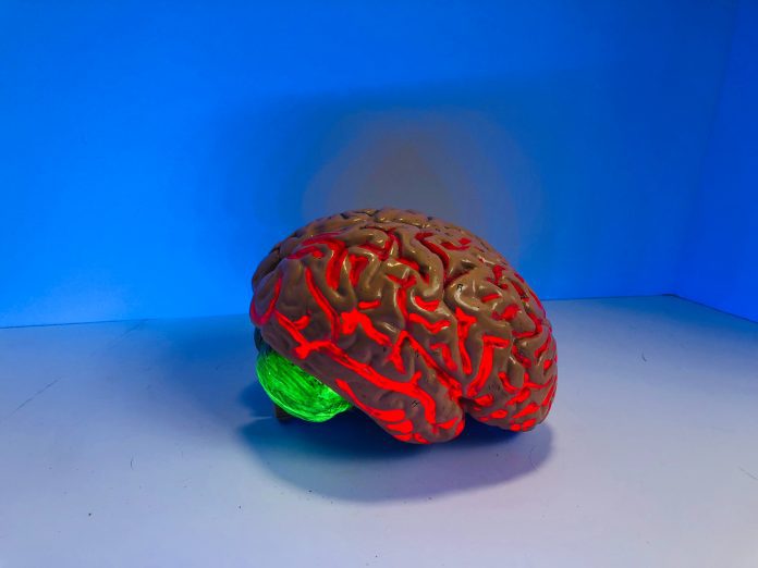 overheated brain model of a brain glowing red