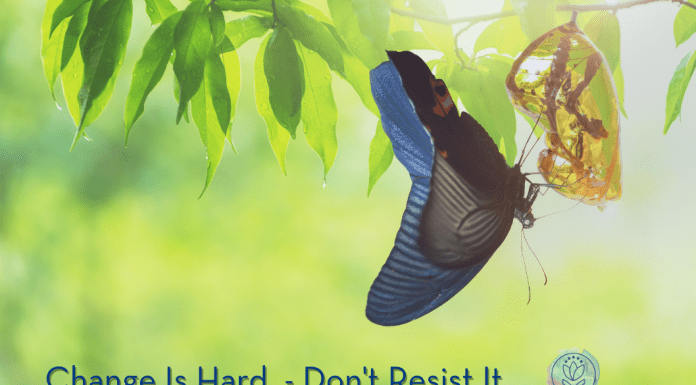 butterfly leaving a chrysalis in a green plant, signifying change. "Change Is Hard - Don't Resist It" in text and MMC logo