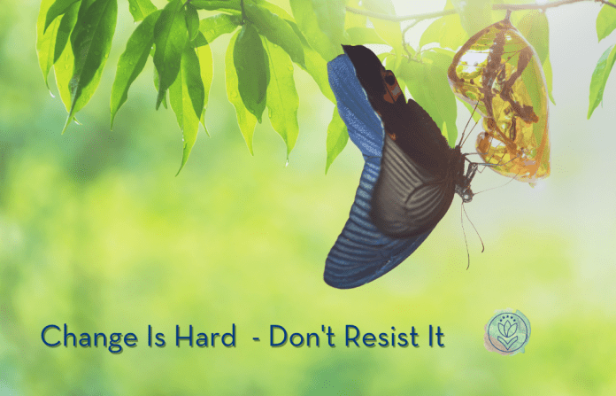 butterfly leaving a chrysalis in a green plant, signifying change. "Change Is Hard - Don't Resist It" in text and MMC logo