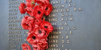 red poppies on a memorial marker