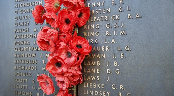 red poppies on a memorial marker