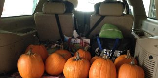 Pumpkins in the back of an SUV