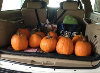 Pumpkins in the back of an SUV