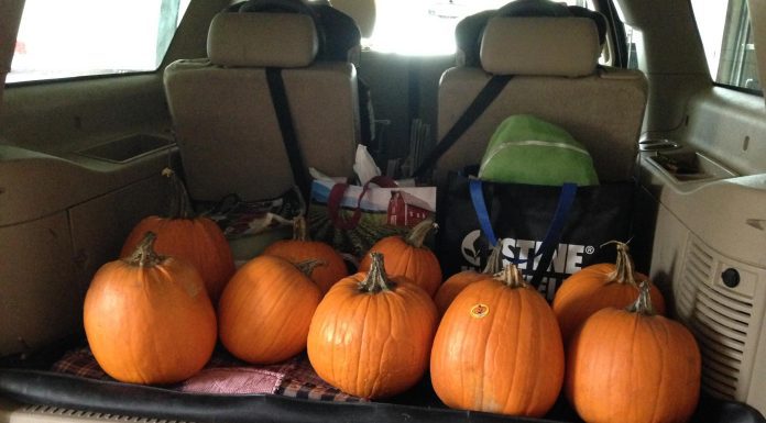 Pumpkins in the back of an SUV