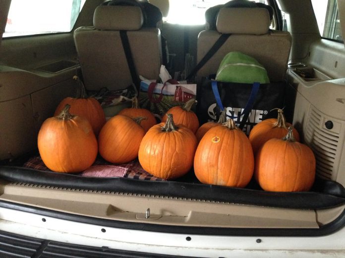 Pumpkins in the back of an SUV