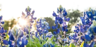 In Sickness and In Health Part IV: Fighting To Be Me Rehab