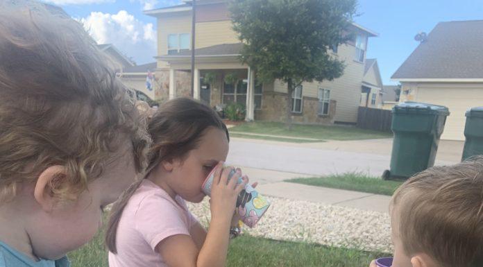 Photo of three young children sitting outside on a blue blanket, drinking out of plastic cups. The book, "Sarah, Plain and Tall" is opened next to them and is being read aloud by the mother, who is not in the photo.