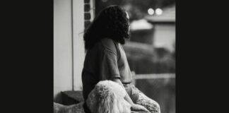 Decoding Doggy Talk: A Parents Guide to Canine Behavior and Body Language Canine Behavior and Body Language. Understanding the body language of dogs.