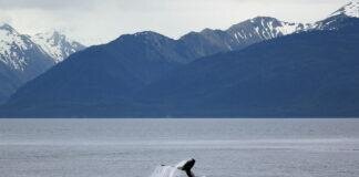 Alaska, as Wonderful as it Looks