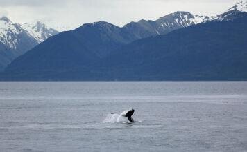 Alaska, as Wonderful as it Looks