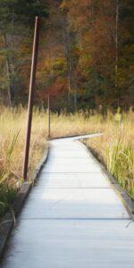 R. Garland Dodd Park At Point Of Rocks Park floating boardwalk