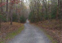 Fort Gregg Adams Petersburg Battlefield