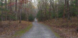 Fort Gregg Adams Petersburg Battlefield