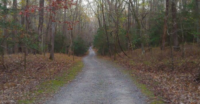 Fort Gregg Adams Petersburg Battlefield