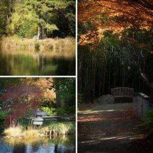 Lewis Ginter Botanical Gardens Richmond Virginia 