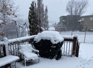 How to Embrace Winter