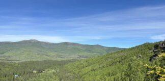 Locals or Tourists? Summer in Fairbanks, Alaska Summertime rolling hill views along Angel Rock trailhead