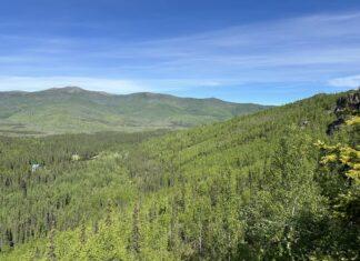 Locals or Tourists? Summer in Fairbanks, Alaska Summertime rolling hill views along Angel Rock trailhead