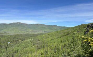 Summertime rolling hill views along Angel Rock trailhead