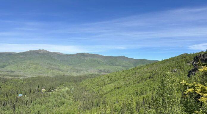 Locals or Tourists? Summer in Fairbanks, Alaska Summertime rolling hill views along Angel Rock trailhead