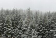 Our Tradition is Change