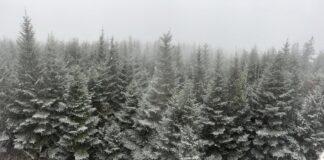 Our Tradition is Change