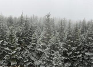 Our Tradition is Change