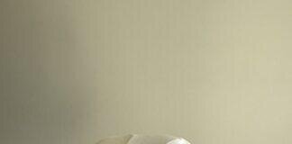 Sourdough Pumpkin Bars