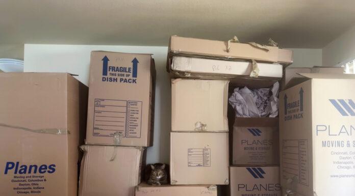 Top 5 Questions Military Kids Ask