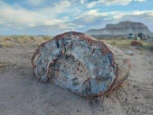 Closeup of petrified wood in Petrified Forest National Park in Northern Arizona