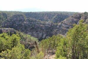 heavily wooded canyon in Walnut Canyon National Monument