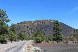 landscape with a dormant volcano in the background and evergreen trees along the road in the foreground