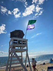 Purple harmful wildlife flag flying on beach in Cape Cod