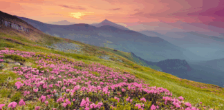 When Your Soul Knows Where Home Is: A Military Spouse’s Take on Finding Your Place When Your Soul Knows Where Home Is: A Military Spouse’s Take on Finding Your Place