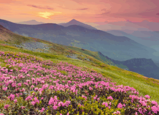 When Your Soul Knows Where Home Is: A Military Spouse’s Take on Finding Your Place