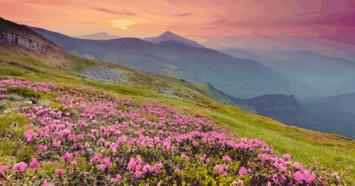 The Mountains When Your Soul Knows Where Home Is: A Military Spouse’s Take on Finding Your Place