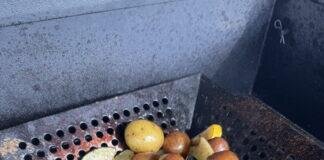 Fire Up the Flavor: July is National Grilling Month!