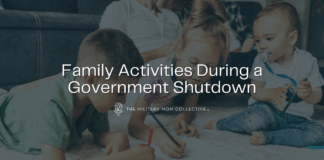 Family Activities During A Government Shutdown