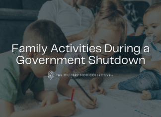 Family Activities During A Government Shutdown