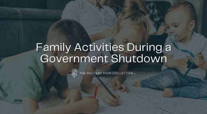 Family Activities During A Government Shutdown