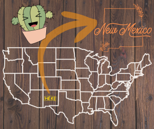 Map of USA with arrow pointing to where NM is located.