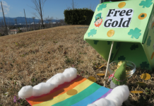 DIY Leprechaun Trap Craft
