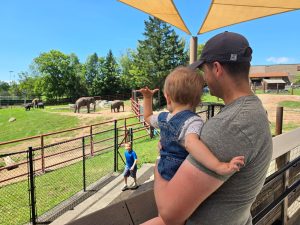 Man holding child looking at elephants at zoo
