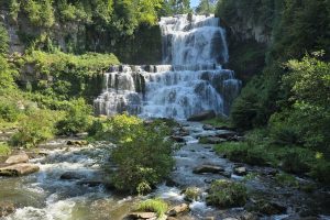 Waterfall with greenery in the summer