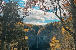 Waterfall in the distance with fall foliage in the foreground