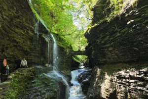 Waterfalls in a gorge