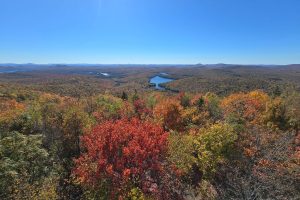 View of fall foliage from a mountain