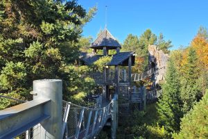 Outdoor treehouse and rope bridge